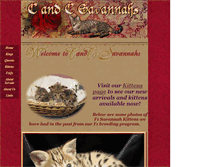 Tablet Screenshot of candcsavannahs.com